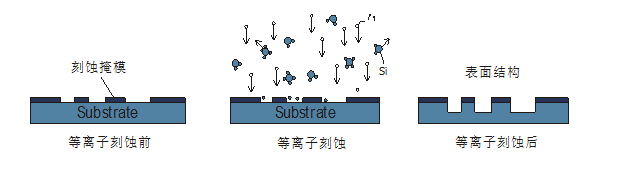 玉米视频app在线观看特征3